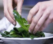 bio partyservice oberfranken